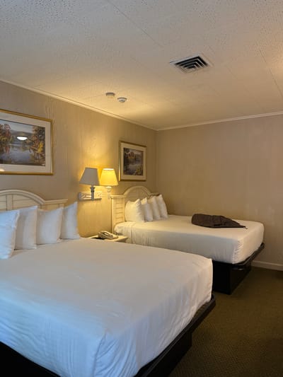The image shows an interior view of a hotel room in Laconia, United States of America, featuring two queen-sized beds with white bedding. A brown jacket is draped on one of the beds. Each bed has a white headboard and several pillows. Between the beds is a nightstand with a lamp. Two framed landscape paintings are hanging on the wall. The walls are a light beige color with a textured finish. The ceiling is white with a patterned texture and a ventilation grill. The carpet is green.