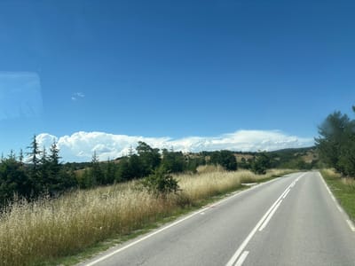 The image captures a scenic view of a winding asphalt road cutting through a rural landscape under a clear blue sky dotted with white cumulus clouds. The road is bordered by tall, dry grass and scattered trees, including a cluster of tall, conical evergreen trees on the left. In the distance, rolling hills covered in lush green vegetation form the backdrop. The lighting suggests it is daytime, likely late morning or early afternoon. There are no people or animals visible in the frame. The overall impression is one of a peaceful, sun-drenched countryside.