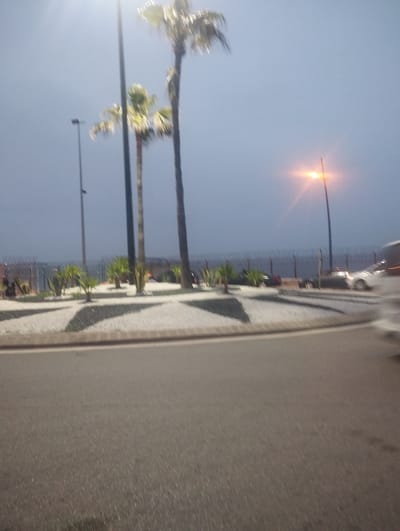 The image depicts a street scene, likely captured at dusk or night, given the illuminated streetlights and the somewhat dim, light blue-grey sky. In the foreground, an asphalt road curves slightly, with a distinct light-colored curb marking the edge of a central median or roundabout. This median is decoratively designed with a star-like pattern made from light-toned pebbles or stones contrasting with darker ground or vegetation, and it features several small palm-like plants.
Further back, a prominent streetlight on the right emits a strong orange-yellow glow, casting light into the hazy sky. Other taller, dark lampposts are visible against the sky, with one in the center-left. A metal fence, topped with what appears to be barbed or razor wire, runs across the middle ground, separating the road area from a blurred expanse in the distance, likely a body of water given the coastal location of Fnideq, Morocco.
Several vehicles, including a white car and other darker cars, are visible behind the median and near the fence, appearing somewhat blurry due to motion or the low-light conditions. Dominating the upper portion of the image are several tall palm trees with their distinctive fronds, silhouetted against the sky, reinforcing the warm-climate setting. The overall image has a slightly blurry quality, suggesting it was taken handheld or from a moving perspective in limited light. No visible text is present in the image.