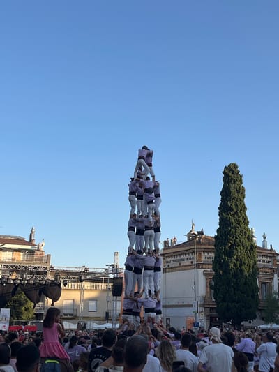 This image captures a human tower, known as a "castell," being built in a public square, likely during a festival, in Sant Cugat del Vallès, Spain. The castellers, dressed in matching purple shirts and white pants with sashes, are forming a multi-tiered structure, with individuals at the top climbing higher. In the foreground, a crowd of spectators is gathered, with a young girl in a pink dress being held up on someone's shoulders, providing a viewpoint over the heads of the crowd. In the background, several buildings are visible, including a large, ornate building with the words "GRAN TERRISSERIA DE ARPI" and "FABRICA" inscribed on it, suggesting it might be a historical or industrial site. A tall, evergreen tree stands to the right of the castellers. The sky is clear and blue, indicating it is daytime. Stage lighting and structures are also visible behind the crowd, suggesting a performance area.