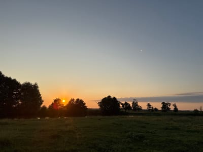 This is a wide-angle, eye-level, outdoor shot of a rural landscape in Boriskino, Russia, during sunset. Silhouetted trees line the horizon, with a bright orange sun partially visible behind a cluster of trees on the left side of the frame, casting a reddish glow. The sky transitions from a pale yellow near the horizon to a clear, pale blue at the top, with a faint, bright circle, possibly the moon, visible in the upper right quadrant. In the foreground, a grassy field is dimly lit, with the textures of the grass and some plants visible. A body of water is suggested between the trees and the field. There are no people or animals present.