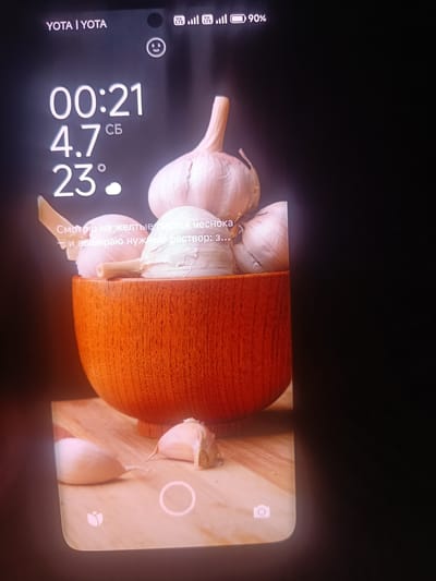The image displays a smartphone screen showing a lock screen or wallpaper. At the top, the network provider "YOTA | YOTA" is visible, along with signal strength indicators and battery percentage at 90%. The time is displayed as "00:21," followed by "4.7" and "23°" with a cloud icon, indicating the temperature. A text overlay reads, "Смотрю на желтые листья чеснока - и выбираю нужный раствор: 3...". Below this text, a wooden bowl filled with garlic bulbs is the main subject, with a few garlic cloves placed on a wooden surface in the foreground. The bottom portion of the screen shows camera icons. The image does not provide any information or context about the location of Tatarintsevo, Russia.