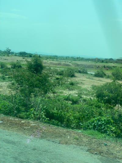 The image depicts a rural landscape under a light cyan sky. The foreground shows a rough, textured surface, possibly a dirt road, with patches of green vegetation. Beyond this, the terrain opens up to a moderately vegetated area with sparse trees and bushes scattered across a mostly dry, light brown ground. In the mid-ground, several clumps of dense green bushes and trees are visible, some appearing taller than others. Further in the background, the landscape is flatter, with more distant vegetation and some indistinct structures that could be buildings. The overall impression is of a dry, open, and somewhat undeveloped area. The scene is consistent with the environment of Jama'a, Nigeria, which is characterized by its rural settings, savannas, and scattered settlements.