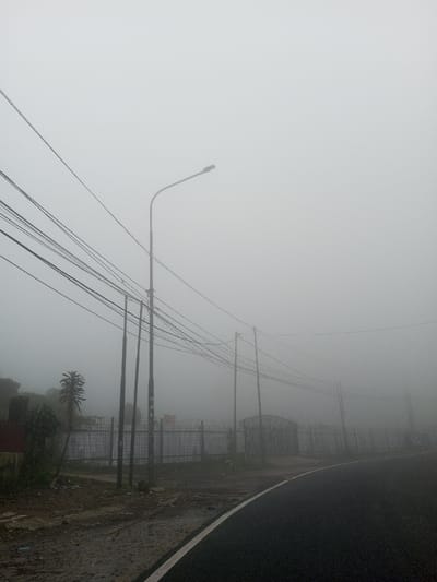 A dense fog obscures a roadside scene. Utility poles and wires traverse the misty sky. A street lamp stands at the forefront. Behind a chain-link fence is a gate and faint structures, barely visible through the fog. The edge of a dark, paved road with a white line is present. A few plants and a single palm tree appear beside the fence, hinting at the surrounding landscape. The overall tone is subdued and atmospheric.