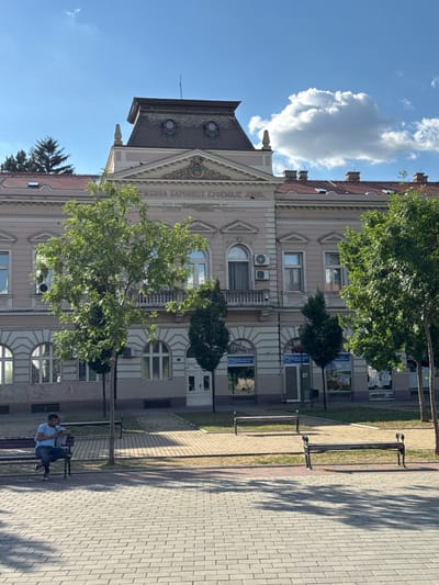 The image depicts a street scene in Bečej Municipality, Serbia, centered on a historically significant building. The prominent structure is the "ЗАДУЖБИНА БАРОНИЦЕ ЕУФЕМИЈЕ ЈОВИЋ" (Endowment of Baroness Euphemia Jović), identifiable as the Bečej City Museum.

The three-story building, likely an early 20th-century construction, features a light-colored, possibly pale pink or beige, facade with white architectural details. A distinctive dark grey, mansard-style roof with multiple round dormer windows and decorative elements crowns the structure. The central portion of the building presents a pediment adorned with an ornate crest. Numerous windows, some arched on the ground floor and others rectangular on upper floors, punctuate the facade. Several air conditioning units are visible on the exterior walls.

In the foreground, a public paved area, constructed from light-grey interlocking pavers, extends towards the building. Interspersed within the paved area are rectangular patches of green grass. A row of young trees with vibrant green foliage is planted along the paved walkway, obscuring parts of the building's lower facade. Several park benches, constructed with dark metal frames and wooden slats, are positioned along the walkway; one bench in the immediate foreground is unoccupied, while another further back is occupied by a single male figure.

The man, dressed in a light blue t-shirt and dark trousers, is seated on a park bench. He is looking down at a mobile phone in his hands, with one leg crossed over the other.

The background features a clear blue sky with scattered white, cumulus clouds. Sunlight illuminates the scene, casting distinct shadows on the paved ground, indicating a bright day.