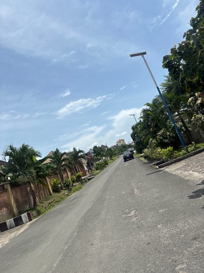 The image depicts a street scene in Port Harcourt, Nigeria. An asphalt road occupies most of the frame, stretching into the distance where a black car is visible. On either side of the road are residences and compounds with lush tropical vegetation, including palm trees and various other trees and shrubs. Fences and walls demarcate the properties. The sky is partly cloudy with a predominantly blue hue. A tall, thin utility pole with a horizontal arm extends into the sky from the left side of the road. The photo appears to have been taken during daylight hours.