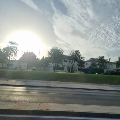 This image depicts a street scene in Jerez, Spain, likely in the late afternoon or early evening given the low angle of the sun. The sun is very bright, creating a lens flare and washing out much of the sky, which is filled with wispy clouds.
The scene is divided into three main areas. On the left, the bright sky dominates. In the middle, a row of buildings with light-colored facades and red-tiled roofs are visible, interspersed with trees that are mostly bare of leaves. A street lamp with a spherical light fixture is also visible. On the right, there is a paved road with a single white line marking a lane, bordered by a sidewalk composed of rectangular paving stones and a strip of green grass. The road appears wet in places, reflecting the sunlight.
There are no people visible in the image. The overall impression is one of quiet urban scenery on a bright, possibly warm day. The orientation of the image is rotated, with the sky appearing on the left and the road on the right.