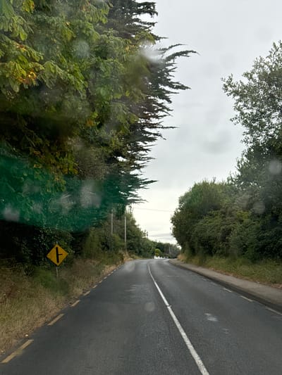 The image depicts a wet, asphalt road in a rural or suburban setting, likely in the vicinity of Gorey, Ireland. The road curves gently to the right. On the left side of the road, there is a yellow diamond-shaped traffic sign with a black symbol indicating a junction where a minor road joins from the left. The sign is mounted on a metal post. Tall green trees and vegetation line both sides of the road, with the leaves appearing somewhat wet, suggesting recent rain. The sky is overcast, contributing to the muted lighting. There are no people or vehicles visible in the frame. The overall impression is one of a quiet, possibly damp day on a country road.