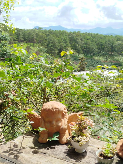 The image depicts a rustic outdoor scene, possibly a garden or a balcony with a view, featuring several elements. In the foreground, on a weathered wooden surface, are two small potted succulent plants. To the left, a terracotta statue of a cherubic face with wings is positioned. The statue is slightly weathered, giving it an antique appearance. Behind these foreground objects, dense green foliage from a bush or tree dominates the frame, with branches and leaves creating a natural screen.
Beyond the greenery, a panoramic landscape unfolds. A vast expanse of coniferous forest covers rolling hills, with a hint of cultivated land or fields visible in the middle ground. In the distance, layered mountain ranges are silhouetted against a bright sky filled with fluffy white clouds. The overall impression is one of natural beauty and tranquility. The specific location in Trường An, Vietnam, is not explicitly indicated by any visual cues in the image itself.