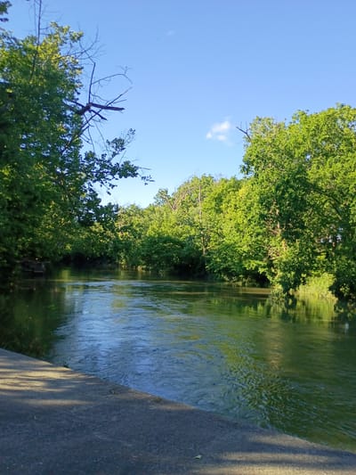 A tranquil river flows through a lush, green forest under a clear blue sky in Midway, United States. The water, reflecting the surrounding foliage, appears calm with gentle ripples disturbing its surface. On the left bank, a concrete embankment is visible, casting a dappled shadow across its surface. The trees lining the river are full and vibrant, their leaves a deep green, suggesting a warm season. The scene is bathed in natural sunlight, with a few wispy clouds dotting the sky. No people or animals are present in the image. The overall atmosphere is one of natural serenity and peacefulness.