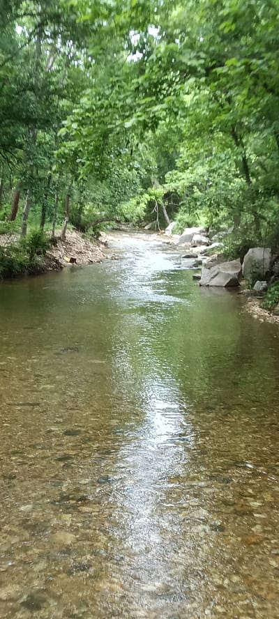 The image shows a shallow, clear stream flowing through a wooded area. The water is clear enough to see the rocks and pebbles on the stream bed. The banks of the stream are lined with trees and foliage. The scene appears to be a natural area, possibly a park or forest. Based on the prompt, this is most likely located in or near Tahlequah, Oklahoma. There are no people visible in the image. The primary subjects are the stream, the water, the rocks, and the surrounding vegetation. The only action is the flow of the water. There are no direct interactions shown. The environment is a natural, wooded area with a stream.