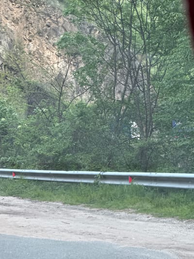 The image shows a view in Бачковски манастир, Bulgaria. In the foreground, a metal guardrail runs along the edge of a road. Beyond the guardrail is a strip of grass and a dirt shoulder. A rocky cliff face is visible on the left side of the image, partially obscured by trees and dense foliage. Through the trees, a glimpse of a white vehicle is seen. The overall scene suggests a roadside view within a natural, possibly mountainous, environment.
