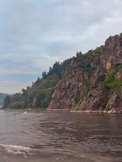 The image shows a wide, murky river flowing past a steep, rocky cliff face covered in green vegetation. The sky is overcast with light gray clouds. On the water, a small white buoy is visible, and two birds are flying in the distance. The riverbank on the left side of the image is densely forested with various trees. The scene appears to be a natural landscape, possibly in a rural or remote area. There are no visible structures or signs of urban development within the frame. The overall mood is serene and natural. The location is the Yenisei River near the village of Atamanovo, Krasnoyarsk Krai, Russia.