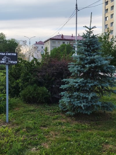 This is a photograph of a sign in Kurgan, Russia, with a blue spruce tree in the foreground. The sign, which is black with white lettering, reads "ДРУЗЬЯ, К ФИГУРАМ ПРИКАТЬСЯ" and has an image of two elephants. The lettering and image are partly obscured by the foliage of a bush. In the background, there are buildings, a street lamp, and other trees. The scene appears to be a public park or garden.