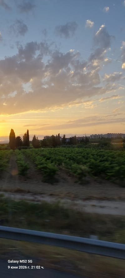 The image is a photograph taken from a vehicle, likely a car, as indicated by the guardrail in the foreground and the motion blur. It depicts a rural landscape with a vineyard in the middle ground. Beyond the vineyard, a line of trees, including tall cypress-like trees, separates the field from a town or city with buildings visible in the distance. The sky is a prominent feature, filled with dramatic clouds illuminated by a sunset or sunrise, casting warm golden and orange hues across the scene. The date and time stamp in the lower-left corner indicates the photograph was taken on June 9, 2026, at 21:02, and the device used was a "Galaxy M52 5G". The text "Vilafranca del Penedès, Spain" has been appended to the description without further context from the image itself.