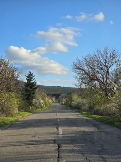 The image shows a cracked asphalt road winding through a rural landscape. The sky is blue with scattered cumulus clouds. Trees and bushes, some in bloom, line both sides of the road. In the distance, a forested hill or small mountain range is visible. The road has faded white lines marking the lanes. The location is purportedly near Chargan, Bulgaria, but there is no visual evidence to confirm this. No people or animals are visible. The overall scene suggests a quiet, possibly abandoned, roadway in a natural setting.