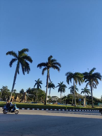 A bright blue sky fills most of the frame. Below, palm trees line a parkway, their dark green fronds contrasting with the sky. A strip of grass and trees lies between the palm trees and a road. A motorcycle with two figures aboard is driving on the road, adding a human element to the natural scene. The image captures a vibrant, sunny day by a picturesque roadside.