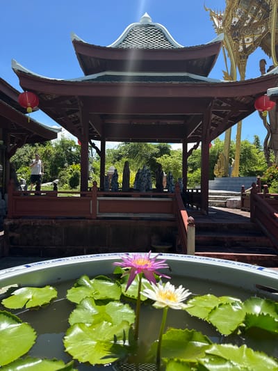A vertical, eye-level shot reveals a pagoda at Ancient City in Bang Pu Subdistrict Municipality, Thailand. The shot is composed of a wooden pagoda on the left, a lotus-filled container on the right, and a garden in the background. The pagoda has a multi-tiered roof and red lanterns. The container is filled with water and lotus leaves, and two lotus flowers, one white and one purple, are in bloom. The garden is green and lush, with various statues and trees. A man can be seen walking within the pagoda's structure. The sky is blue and cloudless.