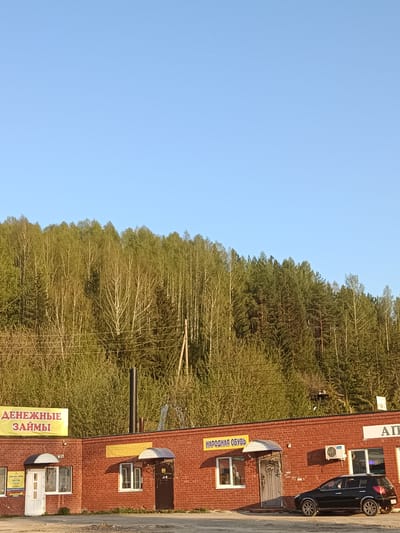 The image depicts a single-story brick building with multiple commercial establishments located in Uinskoye, Russia. The businesses are identified by signs in Russian, including "Денежные Займы" (Money Loans) and "НАРОДНАЯ ОБУВЬ" (People's Shoes). A black car is parked in front of the building. The background shows a forest with various tree species, including deciduous trees and pine trees, under a clear blue sky. A utility pole can be seen amidst the trees.