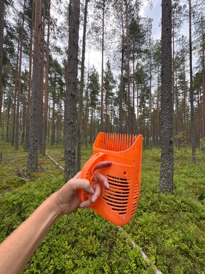 A person's left arm and hand are in the foreground, holding an orange berry-picking tool. The tool has a comb-like opening and a basket-like base, which contains dark blue berries. The person's fingers are stained with dark blue, suggesting they have been picking berries. The background depicts a dense pine forest with a mossy, green undergrowth, typical of the Kliuchevoe region in Russia. The ground is covered in low-lying bushes, likely berry bushes, and a fallen log is visible. The lighting suggests an overcast day.