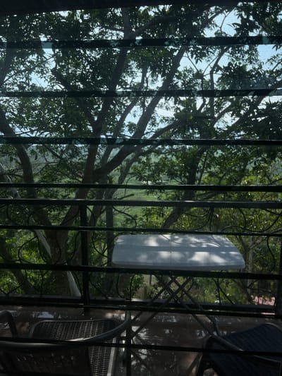 Here's a description of the image:
The image shows a view from behind a dark metal railing and a fine mesh screen. Outside the barrier, lush green foliage of trees is visible against a backdrop of a bright sky. A white, rectangular object is positioned amidst the foliage, reflecting sunlight. Parts of a metal patio chair and the structure it is on are in the right side of the image. The photograph appears to be taken from an elevated position, such as a balcony. The location is suggested to be in Santa Cruz de Yojoa, Honduras, but the image does not contain sufficient details to definitively determine this.