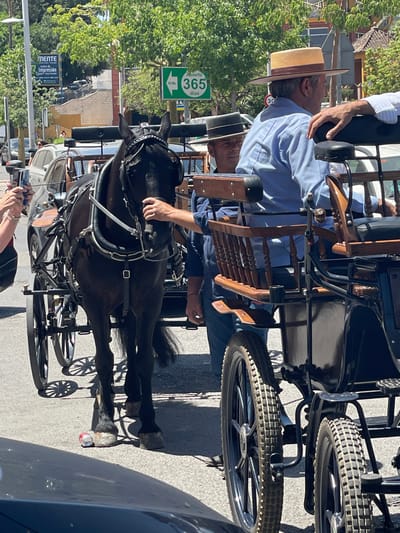This image depicts a horse-drawn carriage in what appears to be a sunny outdoor setting. The carriage is black and ornate, with wooden accents and spoked wheels. A dark-colored horse is harnessed to the front of the carriage. Two men are visible within or near the carriage. One man, wearing a straw hat and a blue shirt, is seated. His hand is resting on the carriage. Another man, partially visible, is also in the carriage. The scene suggests a tourist activity or a historical reenactment.

A green sign with white text is visible on the left side of the image. It reads "Abierto 365 dias" which translates to "Open 365 days" with "100 Mts." written below it. Another sign below that has text that is difficult to fully decipher but includes "MENTE centro de Impresión".

The overall impression is that of a bright, possibly warm day, given the sunlight casting shadows. The location context provided is Algeciras, Spain. The image is oriented vertically, with the subjects appearing sideways.
