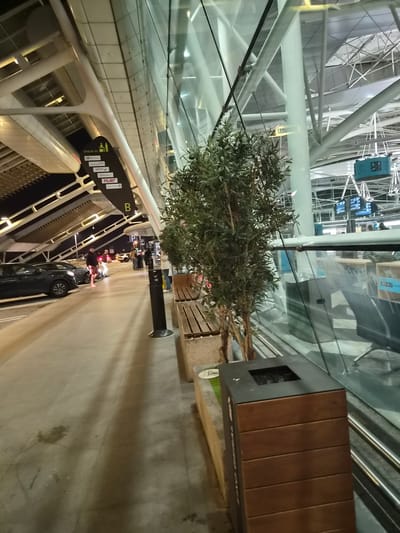 The image depicts an indoor scene in the city of Moreira, Portugal. The location appears to be an airport or transportation hub, suggested by the presence of check-in signage for airlines (e.g., United, PLAY) and overhead structures. The scene features a combination of modern architecture with glass and steel elements.

A small tree is centered in the image. To the right is a dark brown waste receptacle and a bench. Below the tree, there are several people and a couple of dark colored cars parked on the concrete. The setting suggests the image was taken at night, judging by the lighting conditions. The composition is slightly rotated, with the top tilted to the left and the bottom towards the right.