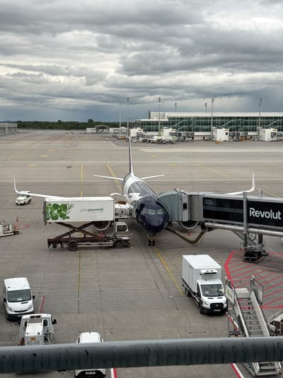 The image shows an airport scene in Freising, Germany, specifically at Munich Airport (MUC). An aircraft is parked at gate 205, connected to a jet bridge with "Revolut" branding. A "gategourmet" catering truck is positioned next to the aircraft, presumably servicing it. Several airport service vehicles, including vans, are parked nearby. The sky is overcast. The apron is marked with yellow lines and red safety zones. The airport terminal building is visible in the background. No people are distinctly visible in the image.