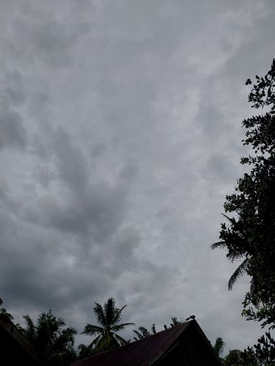 A low-angle view shows a grey, overcast sky. Foliage, including trees and palm fronds, frames the top and right sides of the image. A dark structure, possibly a roof or side of a building, occupies the right side, partially obscured by the foliage. The cloudy sky dominates the composition, creating a somber and somewhat claustrophobic atmosphere.