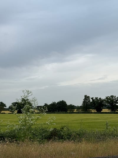 The image depicts a rural scene likely taken near Ipswich, United Kingdom. Dominating the left side of the image is an overcast sky, indicative of potentially unsettled weather. The right side features a field of green grass and crops with visible rows, suggesting agricultural land. Along the edge of the field is a verge comprised of taller, dry grasses and wildflowers, indicative of a natural boundary. A line of trees is visible between the field and the sky in the center of the image. No people or animals are visible.