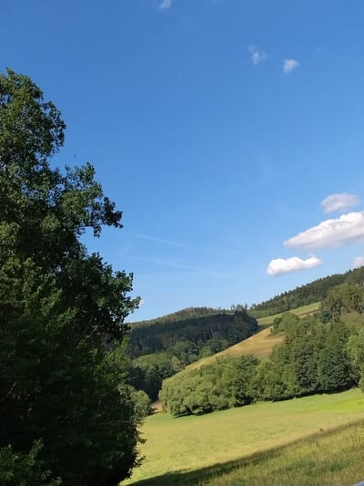 In Malenice, Czechia, a verdant hilly landscape unfolds under a clear blue sky dotted with a few wispy white clouds. A large, dark green deciduous tree dominates the left foreground, its dense foliage partially obscuring the view of the rolling hills behind. The hills are covered in a tapestry of lush green forests and lighter green grassy meadows, with a distinct path or clearing visible on one of the slopes. The scene is bathed in bright sunlight, casting shadows and highlighting the textures of the trees and grass.