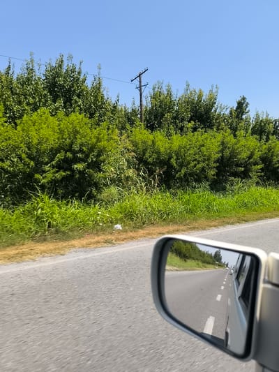 A side-view mirror of a vehicle reflects a road with a few cars. The scene shows a bright, sunny day. Outside the mirror, the vehicle is on a paved road with green trees and vegetation lining the side. A utility pole with wires is visible in the distance. The location is identified as Rajabgardy, Uzbekistan.