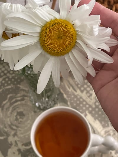 A close-up shot features a hand gently holding a large white daisy with a bright yellow center. The daisy's petals are layered and slightly curled. To the right, a white mug filled with amber-colored tea is visible. The mug has a unique, textured handle that resembles small, smooth pebbles. The background is a patterned surface, possibly a tablecloth, with a subtle grey and white design. The lighting suggests an indoor setting, perhaps during the day. The overall mood is calm and serene, evoking a sense of quiet enjoyment. No text is visible in the image. The provided location context is "Средний, Russia".