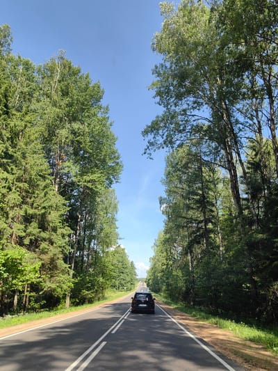 The image depicts a two-lane asphalt road cutting through a dense forest. A black car is driving away from the viewer in the right lane. Tall green trees line both sides of the road, creating a canopy that casts shadows on the pavement. The sky is a clear blue with a few wispy clouds. The scene appears to be in a rural area, likely a forest road in Belarus, given the context of the prompt. The vegetation suggests a temperate climate during the summer months.