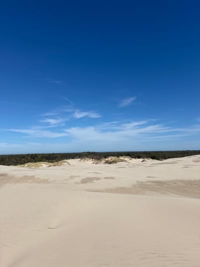 The image depicts a scene in Skagen, Denmark, with a clear division between the sky, a strip of trees/vegetation, and a sandy landscape, likely a dune. The sky occupies roughly half the frame and is a vivid blue with wispy, scattered clouds. Adjacent to the sky is a narrow band of dense, green trees and lower-lying vegetation. This band provides a clear separation between the sky and the sandy terrain. The remaining half of the image is dominated by the light-colored sand. The sand appears to be molded into dunes. There are visible depressions and patterns in the sand, suggesting footprints or wind-formed patterns.