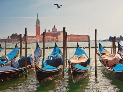 The image depicts a picturesque scene of several gondolas docked in a canal. The gondolas, with their dark hulls and pointed prows, are partially covered with blue and tan tarps, suggesting they are either awaiting passengers or being stored. One gondola stands out with a tan cover that appears somewhat worn, revealing some of the boat's interior. The water in the canal is a vibrant green, reflecting the sunlight and creating shimmering patterns on the surface. Wooden posts rise from the water, serving as mooring points for the gondolas.
In the background, a distant city skyline is visible across the water. The most prominent structures are a tall, red brick bell tower with a green spire and a large, domed church with pale walls and a red roof. Other buildings, also with red-tiled roofs, line the waterfront. A single seagull is captured in flight in the clear, pale blue sky, adding a dynamic element to the scene.
The overall impression is one of a serene, possibly early morning or late afternoon setting, given the soft quality of the light. The absence of people and the covered gondolas suggest a quiet moment, perhaps before the day's activities begin or after they have concluded. The architecture in the background strongly suggests a European setting, and the style of the buildings, particularly the bell tower and church, points towards Italy, likely Venice given the presence of gondolas. The mention of Ossenzijl, Netherlands, as the location context, appears to be a misattribution as the visual cues do not align with that location.