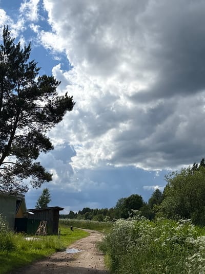 This media file depicts an outdoor scene under a dramatic sky in Дресвяново, Russia. The frame is dominated by a vast expanse of clouds, ranging from dark, heavy formations to brighter, sunlit areas, suggesting a dynamic and perhaps changeable weather pattern.

In the foreground, the silhouette of a dark-leafed tree branches out from the bottom left, its dark foliage creating a stark contrast with the bright sky. To the right, a dirt path is visible, bordered by lush green grass and wildflowers. A small, rustic wooden structure, possibly a shed or outbuilding, stands near the path, with a lighter colored building adjacent to it. The presence of a small puddle on the path indicates recent rainfall or damp conditions.

The background features a dense line of trees and vegetation, creating a natural boundary to the open area. The light suggests it is daytime, likely late morning or afternoon, given the brightness of the sky and the shadows cast. There are no visible people or text in the image. The overall mood is one of natural beauty, with the imposing sky and the quiet, rustic setting creating a sense of peaceful solitude.