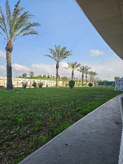 The image depicts an outdoor landscaped area in Dar El Beïda, Algeria, characterized by a mix of natural elements and structural features under a clear blue sky with scattered white clouds. In the immediate foreground, a textured grey concrete pathway or patio surface extends diagonally from the lower right towards the center, meeting a lush green lawn. The far right edge of this foreground area reveals a portion of a light-colored, possibly wicker, outdoor furniture item.
Dominating the midground is an expansive area of green grass, showing variations in density. Along the rear edge of this lawn, a line of at least five mature date palm trees stands with tall, textured brown trunks and green fronds, varying in height. Behind these palms, a low, light-colored wall, possibly concrete or stone, runs horizontally. Interspersed between the palm trees and in front of the wall are smaller green shrubs.
Beyond the wall and palm trees, further distant vegetation, likely trees and bushes, is visible, suggesting a broader green landscape. Several thin, dark lines, resembling wires, crisscross against the sky in the upper portion of the image, appearing to span between the tops of the palm trees and an unseen point to the right. In the upper right quadrant, the underside of a modern architectural overhang or roof structure, composed of light grey rectangular panels, juts into the frame. No individuals, explicit actions, or interactions are present in the scene.