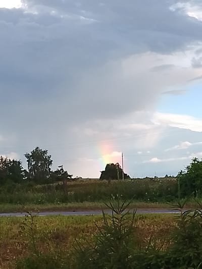 A full shot captures a natural landscape under a cloudy sky with a faint rainbow. The scene includes a road in the foreground, with grassy fields on either side. A line of trees runs horizontally across the middle ground, with a few larger trees prominent. Beyond the trees, a flat horizon is visible, with a hint of human-made structures like utility poles and wires. The overall impression is one of a rural or semi-rural environment, possibly on the outskirts of Свіслацкі сельскі Савет, Belarus.