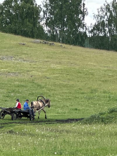 A horse-drawn cart with two people is moving across a grassy field in Abzakovo, Russia. The cart is dark brown and appears to be carrying soil or dirt. The horse is light brown and is harnessed to the cart. The person in the driver's seat is wearing a blue shirt and a dark baseball cap. The person in the passenger seat is wearing a red and white jacket. The field is covered in green grass with scattered white wildflowers. In the background, there are trees and a cloudy sky. The scene suggests a rural or agricultural setting.