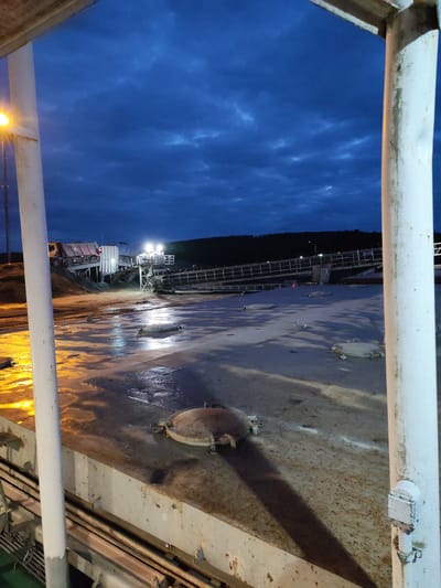 This is an eye-level, wide shot of an industrial site at dusk, likely in Shcheleiki, Russia. The scene is dominated by a vast, flat, wet concrete surface with several circular metal hatches. To the left, a bright yellow light illuminates a white pillar and the wet ground. In the background, a conveyor belt system is active, with a truck being loaded with material. The sky is a deep blue, filled with dramatic, cloudy formations. The overall impression is one of a functional industrial setting at the end of the day.