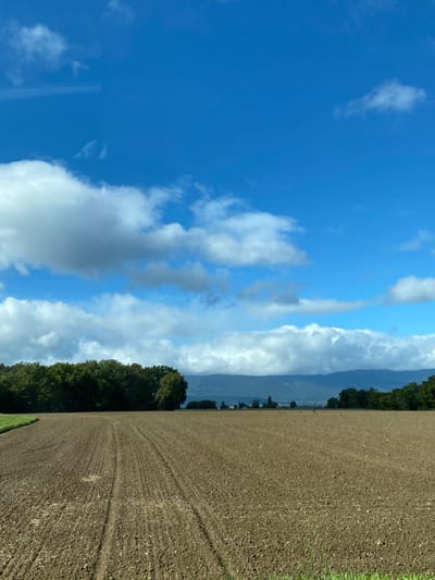 The image depicts a rural landscape in Veigy-Foncenex, France, dominated by an agricultural field under a partly cloudy sky. The foreground features a wide expanse of freshly tilled, dark brown earth, exhibiting parallel furrows and faint tracks from agricultural machinery receding towards the horizon. A narrow strip of green grass borders the immediate lower edge of the frame, with another small patch visible on the far left. In the midground, a dense line of green deciduous trees runs along the left side, while the center and right reveal distant scattered trees and indistinct structures, possibly farm buildings. The background is characterized by a low, dark mountain range or large hills stretching horizontally across the scene. Above, the sky is a vibrant blue, populated by scattered white cumulus clouds of varying sizes and densities. No individuals, animals, or specific actions are discernible within the frame.