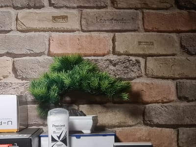 The image depicts a shelf against a brick wallpaper background. On the shelf, there is a small artificial bonsai tree, a white ceramic pot, and several boxes, one of which contains a product labeled "Rexona" in Russian. The brick wallpaper features an embossed inscription that appears to read "Lennonvice" on one of the bricks. The overall scene is an indoor arrangement on a shelf, with no indications of the city of Gukovo, Russia, or any specific location within it. There are no people present.