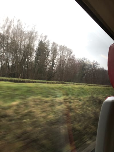 The image depicts a landscape observed from a moving vehicle in the city of Steinbourg, France. The view is framed by the interior of the vehicle, featuring a dark window frame visible along the top and right edges, with a portion of a red seat back and a light-colored, possibly beige or grey, seat component visible in the far right foreground. Outside the window, the immediate terrain consists of a green and brown grassy field, displaying significant horizontal motion blur indicative of high speed. Beyond the field, a dense line of trees, primarily bare deciduous trees interspersed with several evergreen conifers, forms a dark, horizontally blurred barrier. The sky above is overcast, appearing bright white to light grey, with minor motion blur. No individuals or specific interactions are discernible.