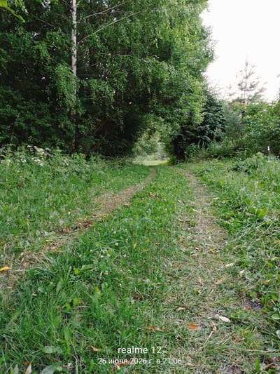 The image shows a dirt path through a grassy area, bordered by trees on both sides. The path appears to be overgrown with grass, suggesting it is not frequently used. The trees are lush and green, indicating a summer or late spring setting. The sky is overcast, creating a diffused light. In the bottom right corner, a timestamp reads "realme 12 26 июня 2026 г. в 21:06", which translates to "realme 12 June 26, 2026 at 21:06". The location is identified as Novoe, Russia.