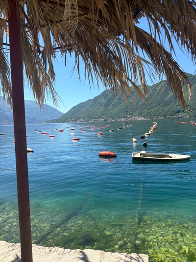 The scene, captured in Dražin Vrt, Montenegro, showcases a body of water with clear, turquoise water reflecting sunlight and revealing underwater rocks and algae. A line of red and black buoys stretches into the distance. A white boat floats on the water. To the left, a partially visible straw umbrella provides shade. Mountains covered in green trees rise in the background under a clear, blue sky. A metal bar forms part of the foreground structure.