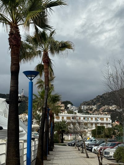 The scene depicts a street view in Port D'andratx, Spain, under a heavily overcast sky. In the foreground, a paved sidewalk constructed from light-colored rectangular blocks extends towards the background on the right. A row of palm trees with thick, dark brown trunks and green fronds lines the left side of this sidewalk. A prominent, bright blue lamppost, featuring a wide, flat, circular luminaire, stands on the sidewalk, positioned between two of the initial palm trees. To the immediate left, partially obscured by the palm trees and a white railing, a large, white, tarp-covered object, consistent with a boat or yacht, is visible.
Parallel to the sidewalk on the right, a paved street hosts a line of approximately eight parked vehicles, including sedans and SUVs, displaying various colors such as silver, black, white, and dark red. Beyond the street, a multi-story white building with numerous windows, many fitted with light-toned roller shutters, is visible. The midground and background consist of steep hills and mountains densely covered with green vegetation and numerous white residential buildings scattered across the slopes. The sky is entirely filled with dense, dark grey clouds, particularly dark towards the horizon, indicating an overcast weather condition. No individuals are visible within the frame.
