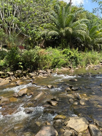 The image captures a flowing river in Tambon Song Phraek, Thailand. The water rushes over rocks and stones that line the riverbed. Lush green vegetation, including trees and bushes, grows along the riverbank. A small structure, possibly a hut or a building, is partially visible among the foliage. The scene suggests a natural and possibly remote location.