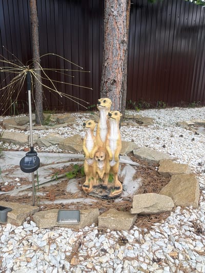 In Колюткино, Russia, an outdoor scene depicts a statue of meerkats standing on a decorative stone and pebble ground. The meerkats, positioned near the base of a mature pine tree, are rendered in a light brown and yellow hue, with intricate detailing on their fur. A small solar-powered light pole with a decorative light feature is visible to the left of the meerkats, adjacent to the tree. In the background, a dark brown corrugated metal fence stands tall, separating the yard from the surrounding area. The ground is covered with a mix of white pebbles, pine needles, and various sized stones, some of which are arranged around the meerkat statue. Small green plants are sparsely scattered amongst the ground cover. The overall impression is a neatly arranged garden or yard, with a focus on natural elements and decorative garden art.