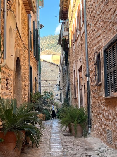 The image displays a narrow, ascending cobblestone street in Fornalutx, Spain, flanked by two multi-story buildings constructed from reddish-brown rough-hewn stone. The facades feature multiple windows equipped with wooden shutters, some closed (dark green on the left, brown on the right) and some partially open. Vertical drainpipes are affixed to both buildings. A small balcony with visible foliage extends from the upper story of the building on the right, further down the street. The flagstone pavement appears damp in various sections. Numerous potted plants, including large palm-like cycads in terracotta containers, line both sides of the thoroughfare. In the middle ground, an adult individual walks away from the camera, centrally positioned on the street. This person wears a light-colored jacket over dark lower garments and carries a dark bag over their shoulder. A traditional street lamp is visible on the left side of the street, beyond the pedestrian. The background reveals a large, green tree-covered mountain under a clear blue sky with minimal cloud cover. Sunlight casts strong, defined shadows across the scene, emphasizing the architectural and environmental textures.